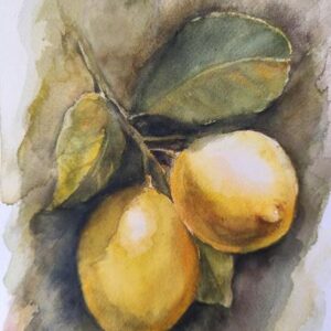 BRANCH OF LEMONS