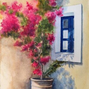 BOUGAINVILLEA FLOWERPOT