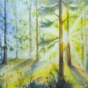 MORNING IN THE FOREST