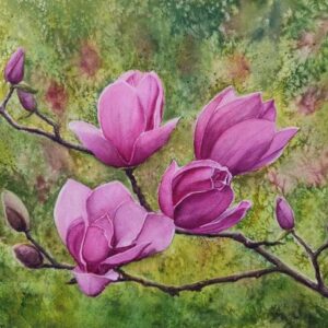 MAGNOLIA BRANCH - 02