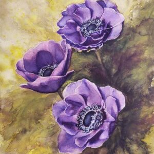 VIOLET ANEMONES – SPRING SILENCE