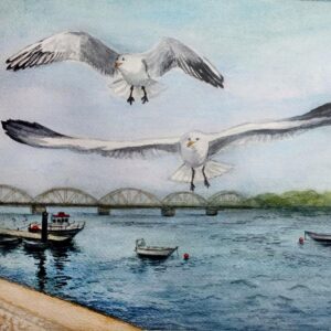 GUESTS IN THE PORT. PORTUGAL, PORTIMÃO, ZONA REBEIRINHA